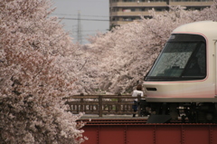 おっと１