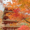 紅葉の塔