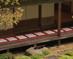 古寺の風景