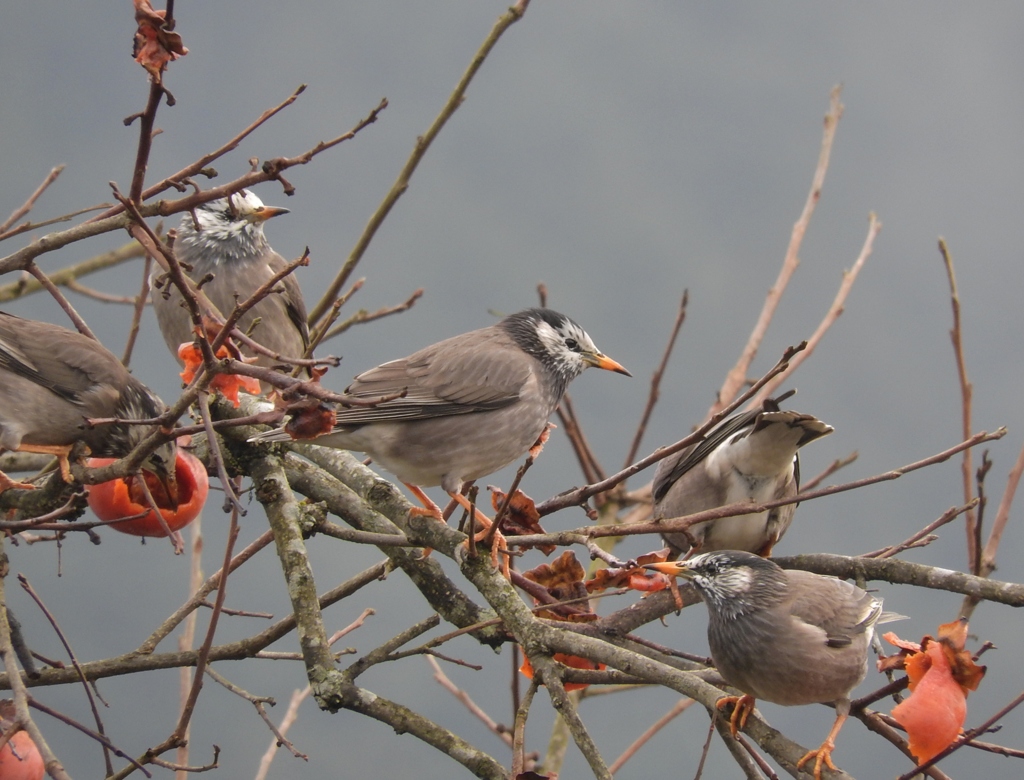 食った食った～