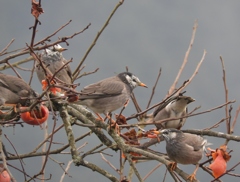 食った食った～