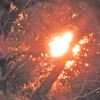 9月の空　木漏れ日