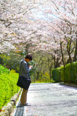 桜入学式