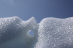夏雪