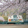 河野桜橋総合運動公園①