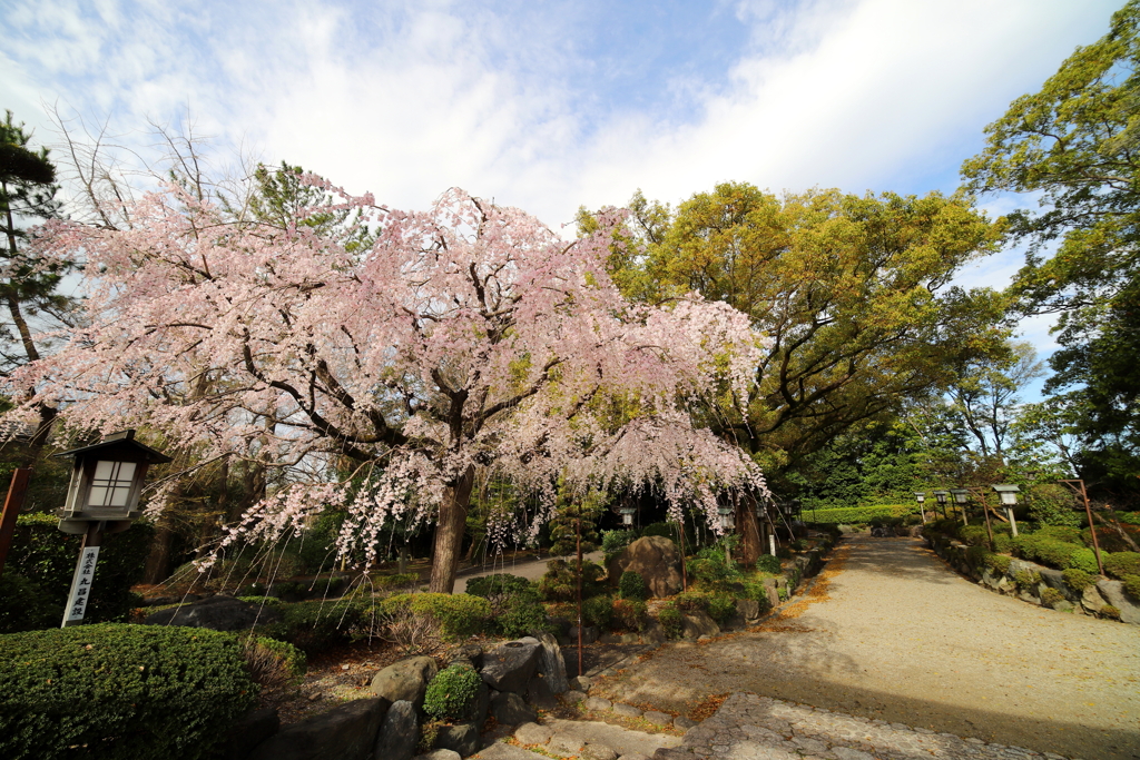 成海神社④