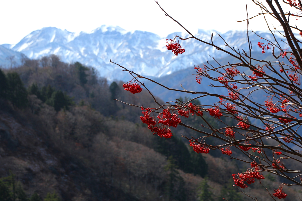 とがの木台より