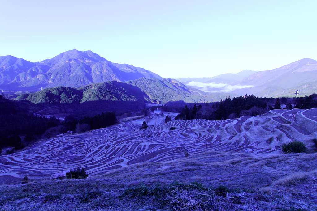 丸山千枚田④