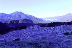 丸山千枚田④