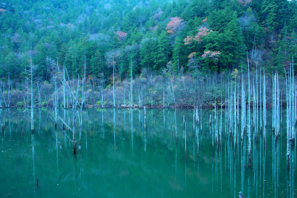 自然湖