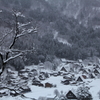 白川郷①