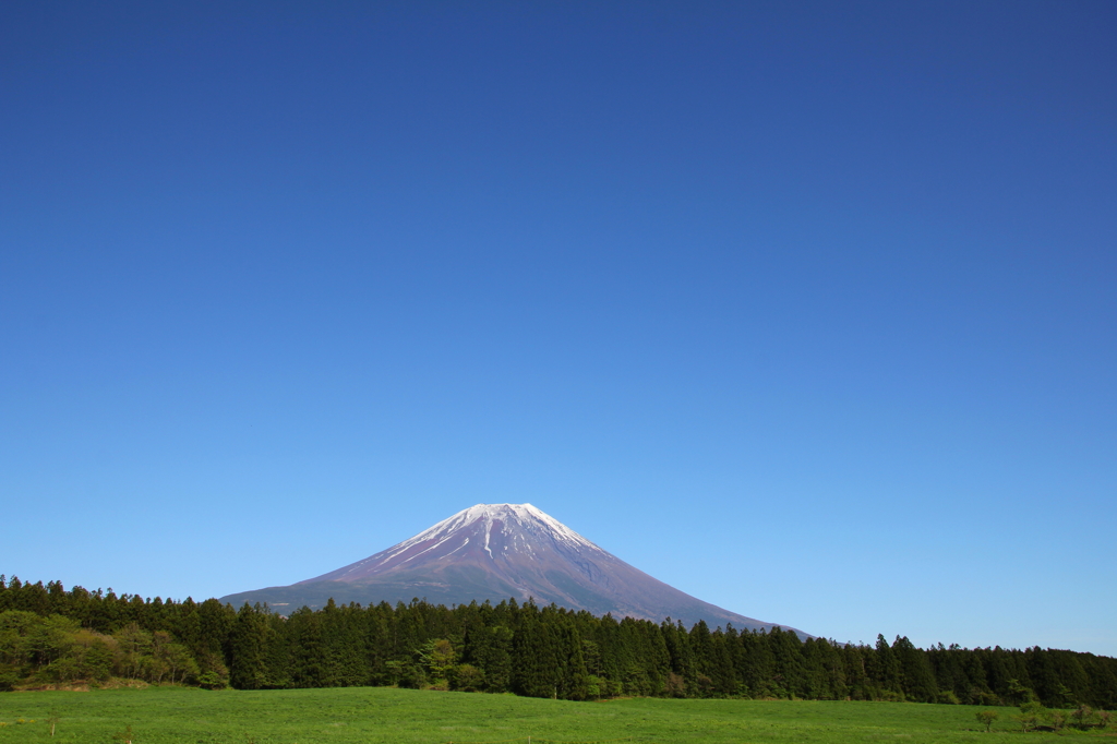 朝霧高原2016①