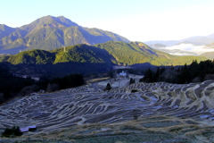 丸山千枚田③