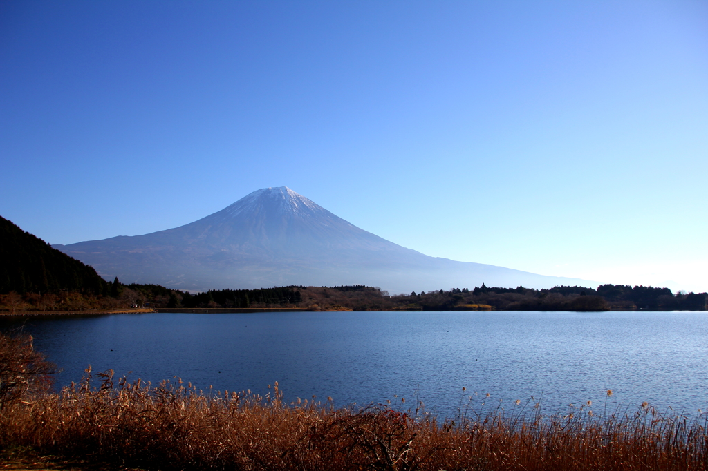 田貫湖②