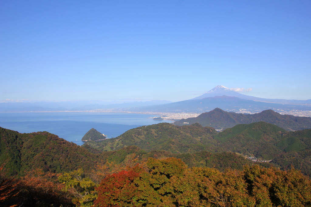 駿河湾