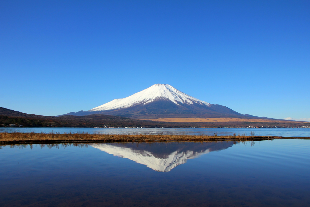 山中湖②