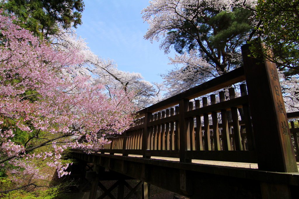 春日城址④