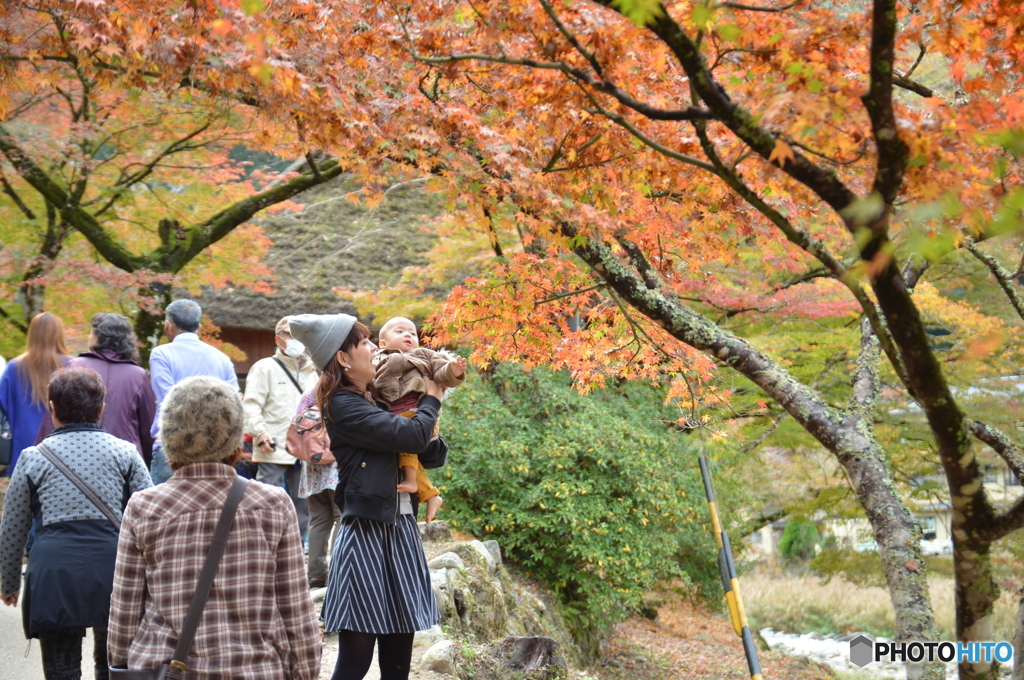 初めての紅葉