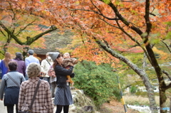 初めての紅葉