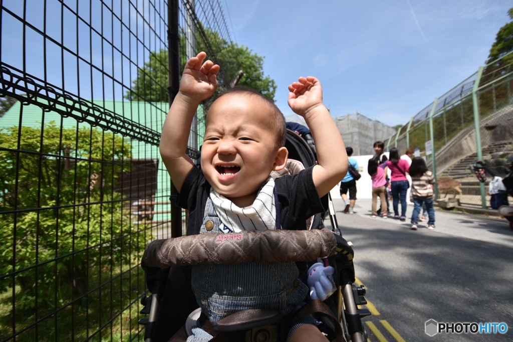 今日は動物園