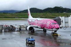 ジンベイザメのコラボ