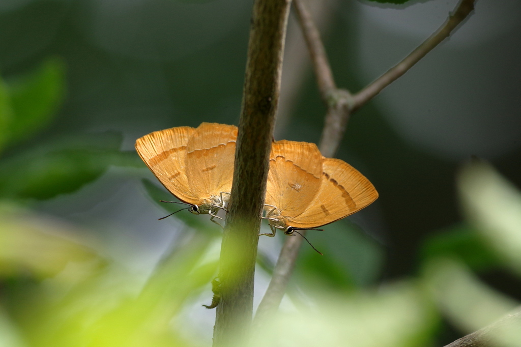 鏡？？じゃありません^^;