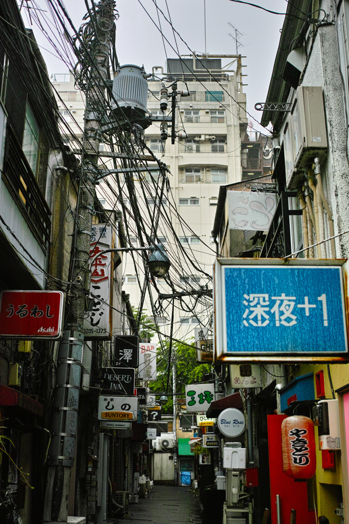 The Japan