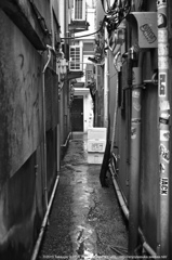 新宿ゴールデン04
