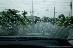 雨の青