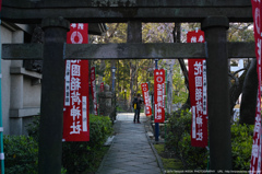 上野公園神社01