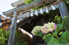 20140529川越GR 006
