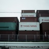 YANG MING