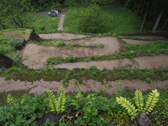 遺跡見学