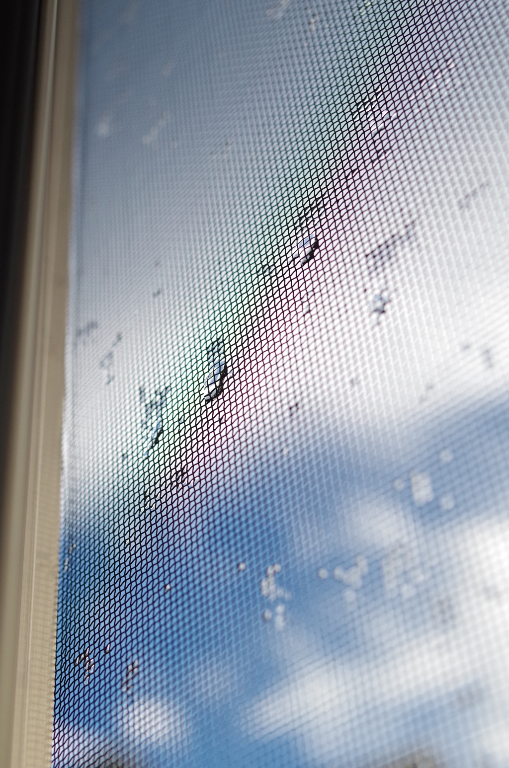 雨上がり