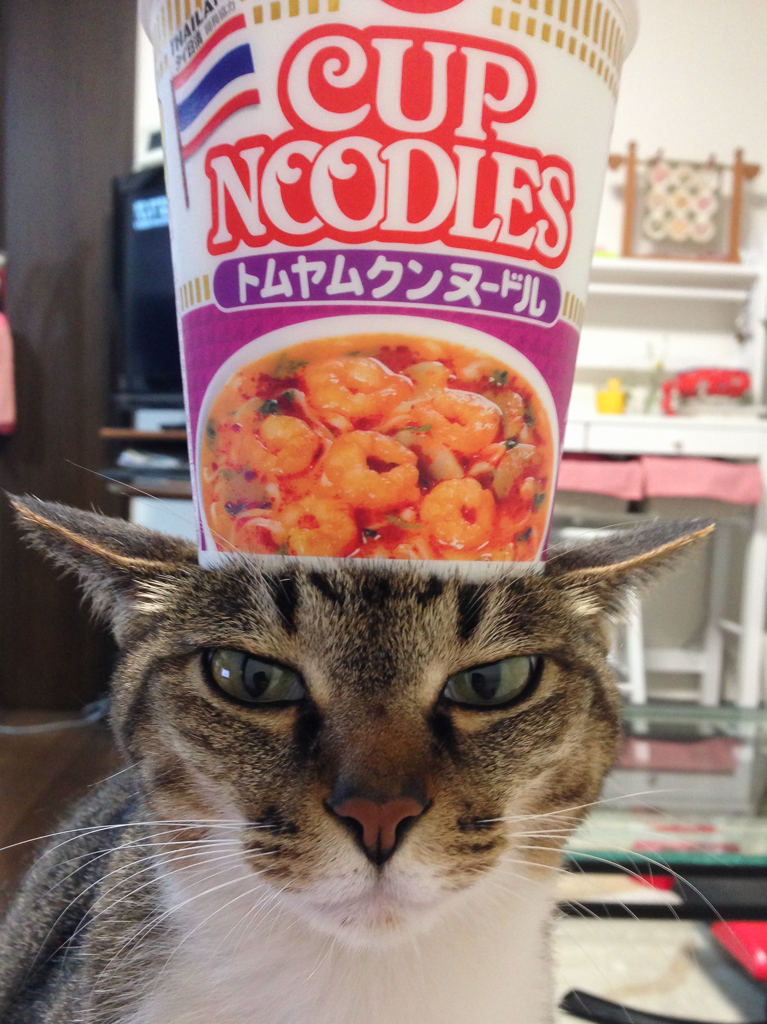 ミミコ_001_20140527