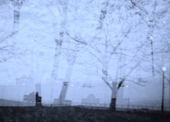 at twilight