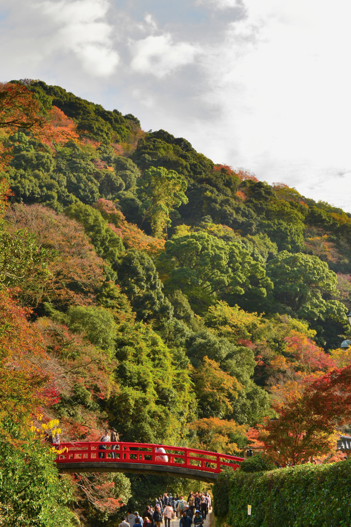 紅葉と紅橋