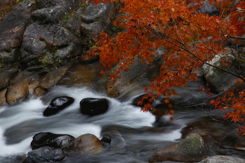 紅葉と長るる川