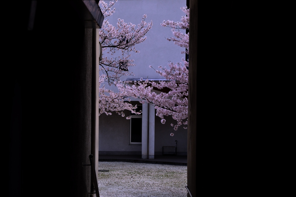 この先の・・・