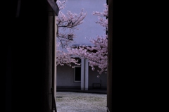 この先の・・・