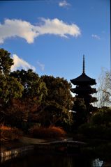 東寺