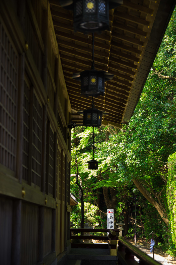 猿田彦神社