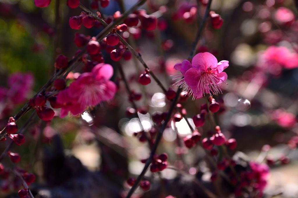 spring is just around the corner