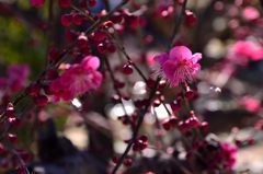spring is just around the corner