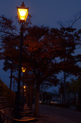 日没後の紅葉