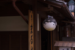 安乗ふぐ