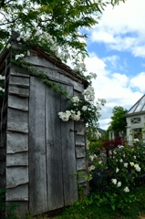 薔薇の咲く庭園2
