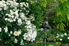 薔薇の咲く庭園1