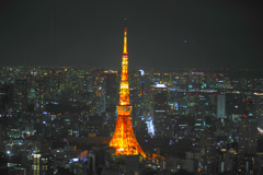 Tokyo Night View