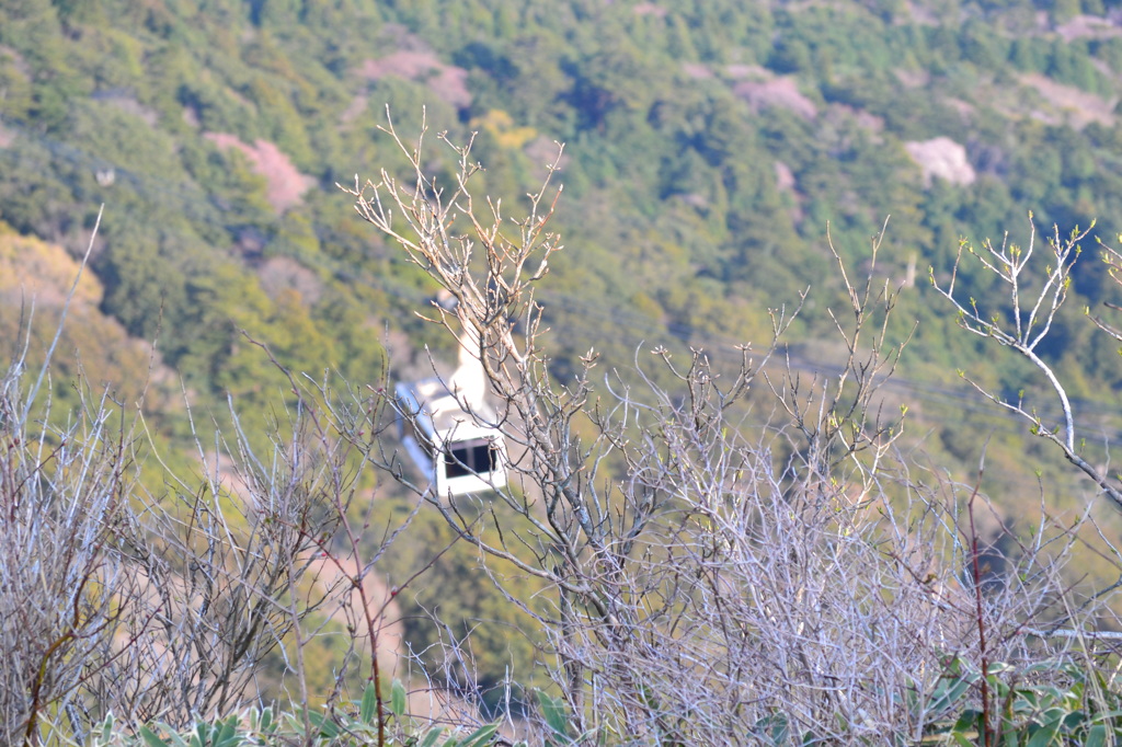 筑波山山頂から